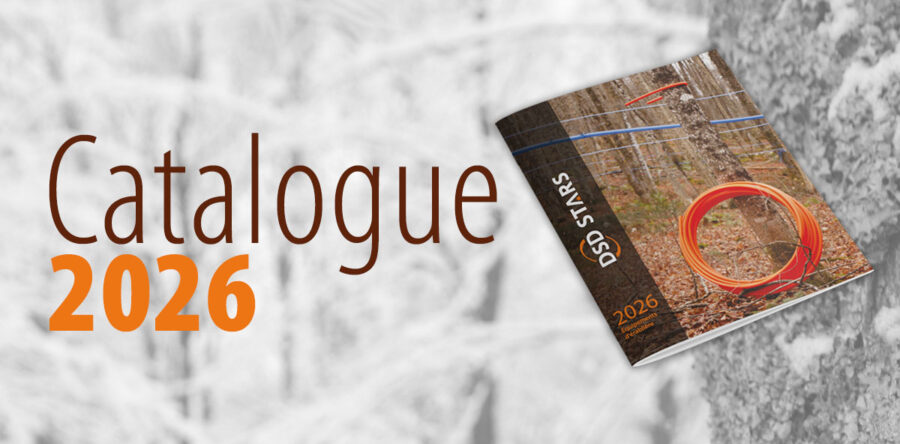 Le nouveau catalogue DSD STARS 2026 est arrivé